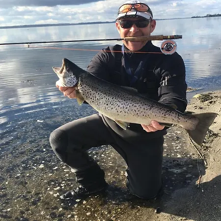 Ady - 150m From The Sea By Interhome 度假居