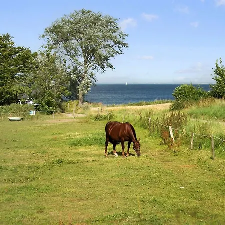 Feriehus Ady - 150m From The Sea By Interhome *