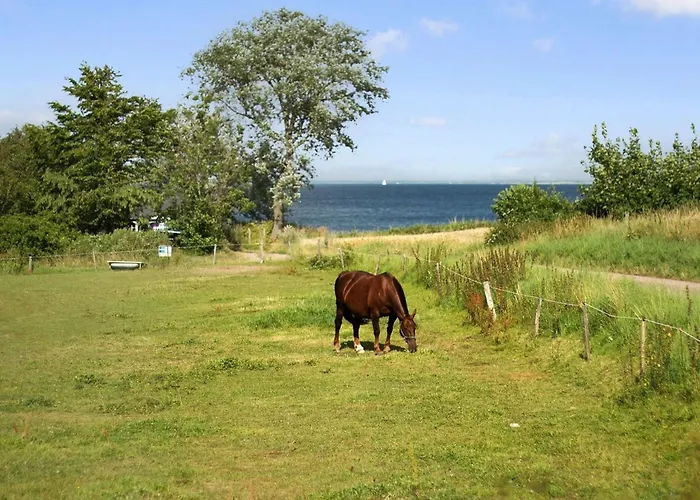 Ady - 150m From The Sea By Interhome Feriehus